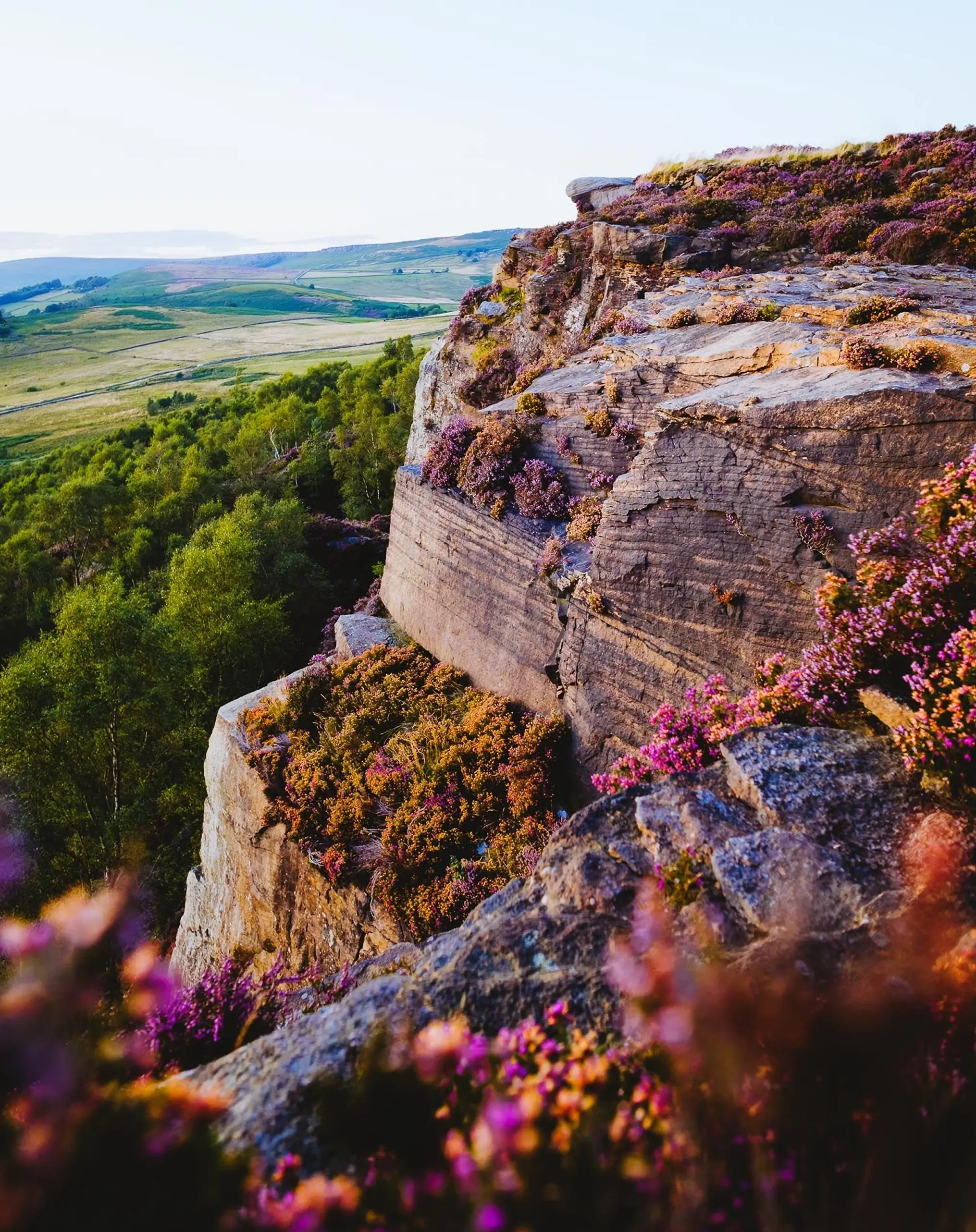 Life in the Peaks