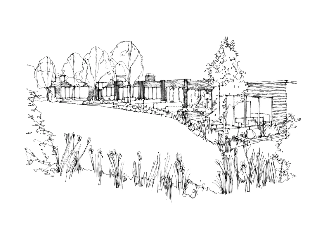 A Sketch of the Plateau